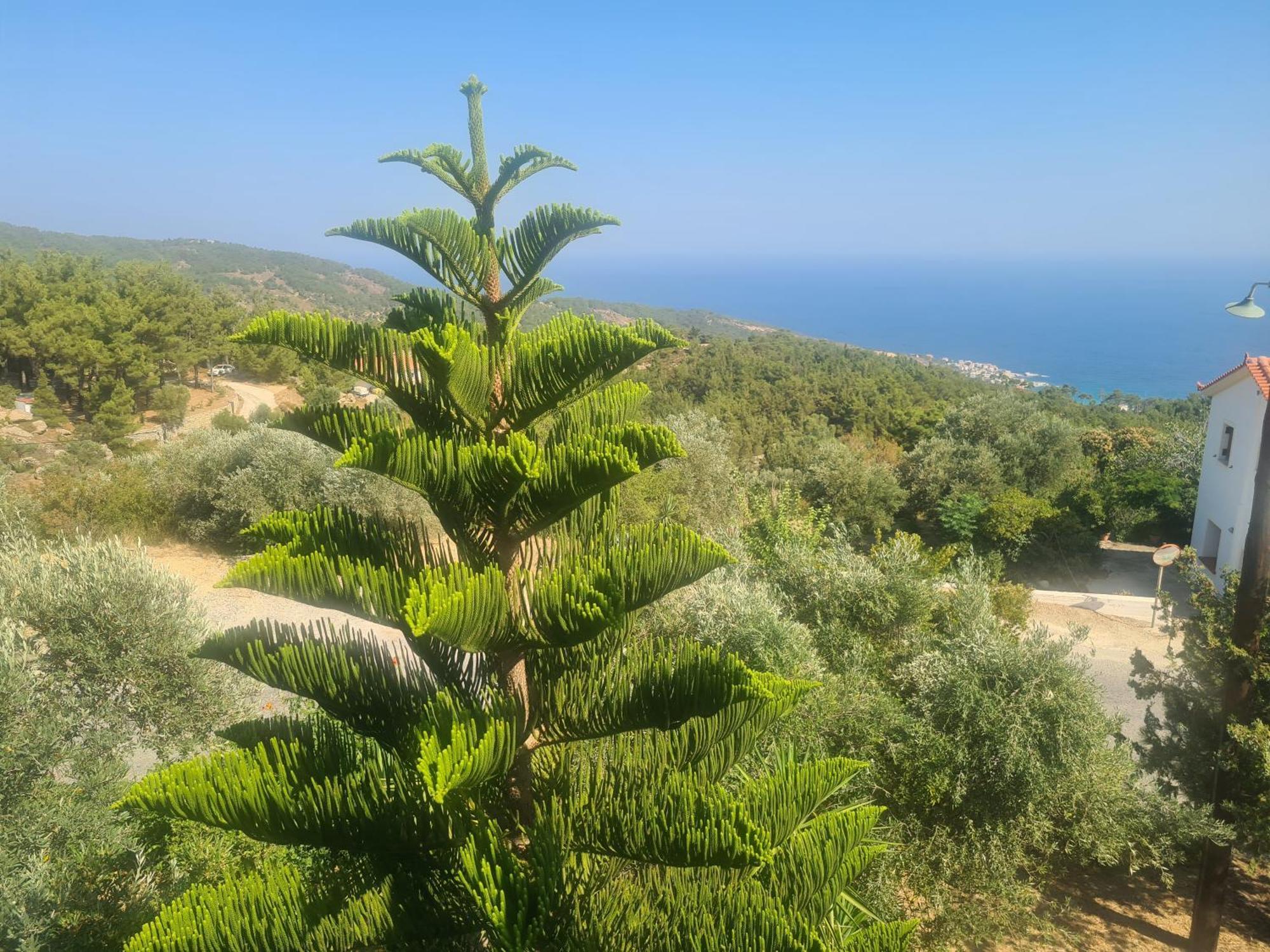 Raches  Spitikariotiko Panoramic Home מראה חיצוני תמונה